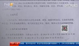 河源本地爆料事件最新,真相竟如此惊人！